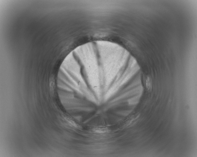 X0000065981299200603241929