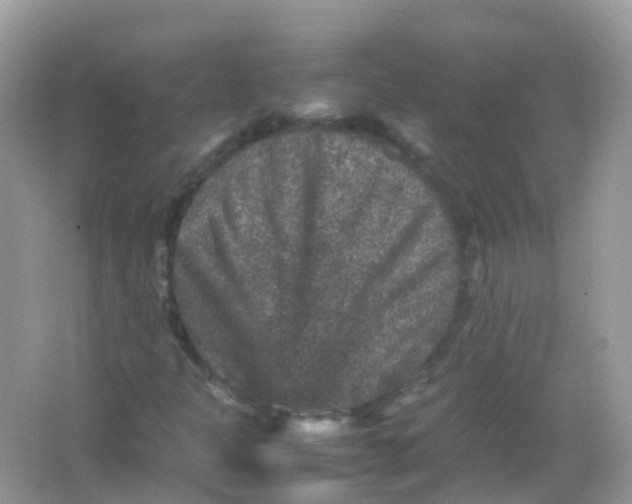 X0000065981301200603241929