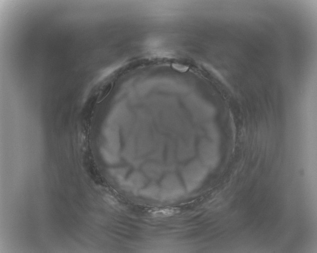 X0000065981303200603241929