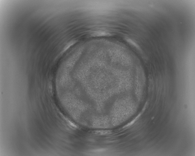 X0000065981305200603241929