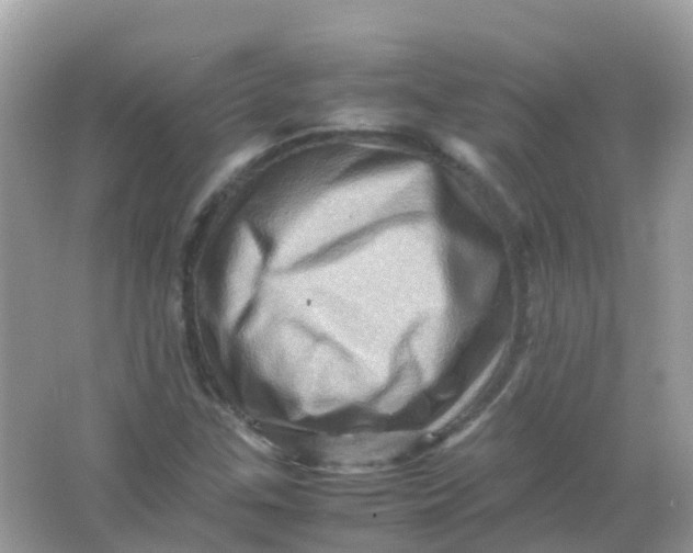 X0000065981307200603241929