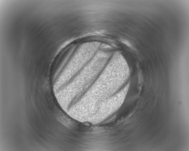 X0000065981308200603241929