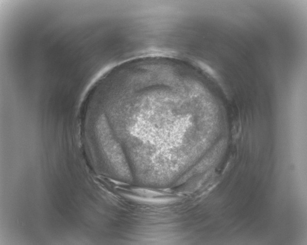 X0000065981310200603241929