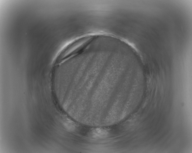 X0000065981311200603241929