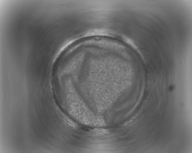 X0000065981312200603241929