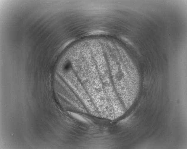 X0000065981313200603241929