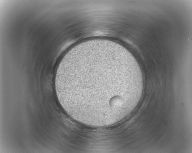 X0000065981314200603241929