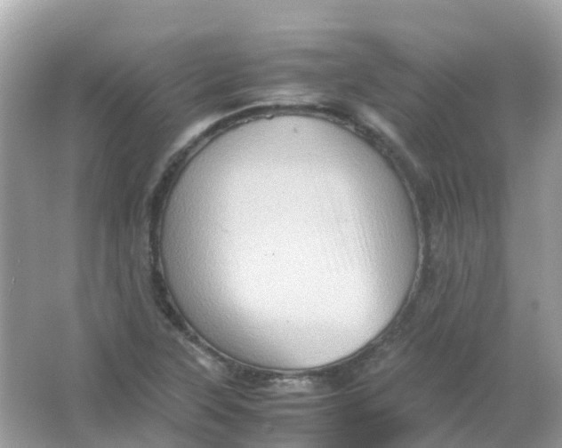 X0000065981315200603241929