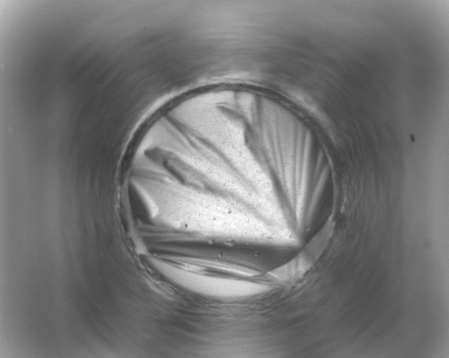 X0000065981316200603241929