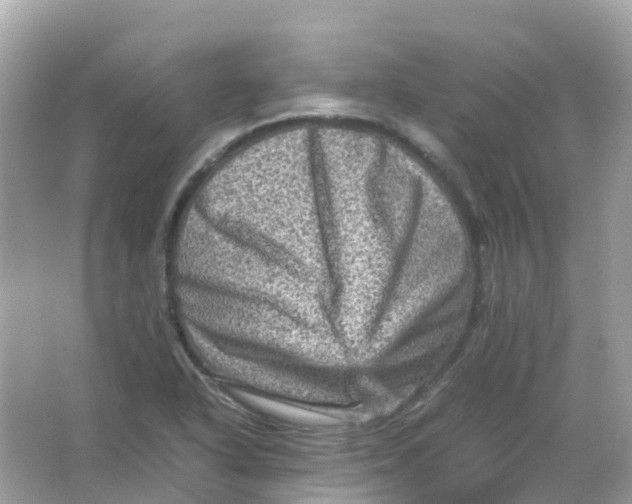 X0000065981318200603241929