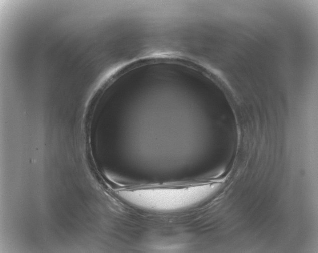 X0000065981319200603241929