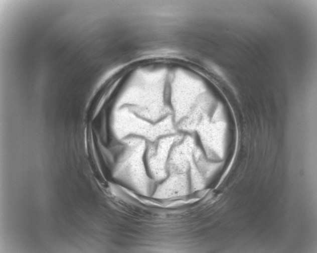 X0000065981320200603241929