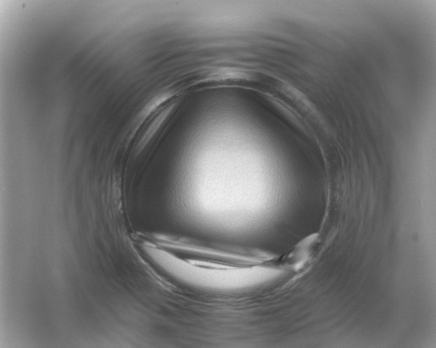 X0000065981321200603241929