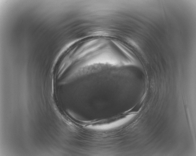 X0000065981323200603241929