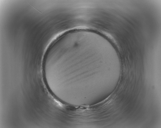 X0000065981327200603241929