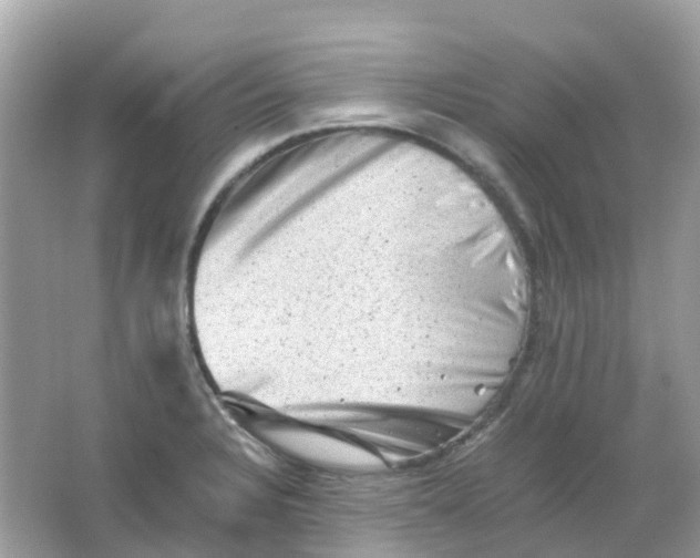 X0000065981328200603241929