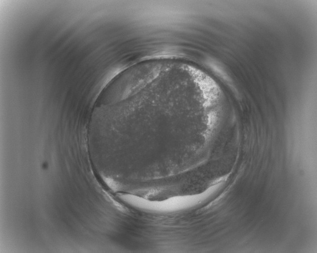 X0000065981329200603241929