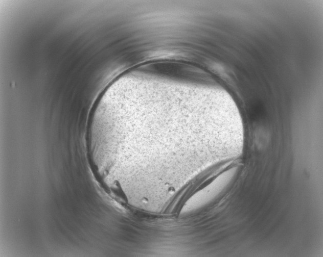 X0000065981330200603241929