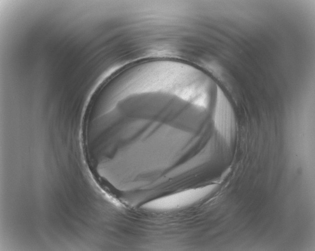 X0000065981331200603241929