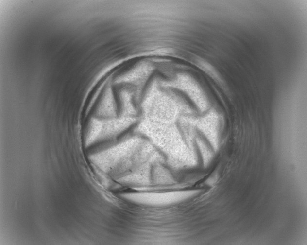 X0000065981332200603241929