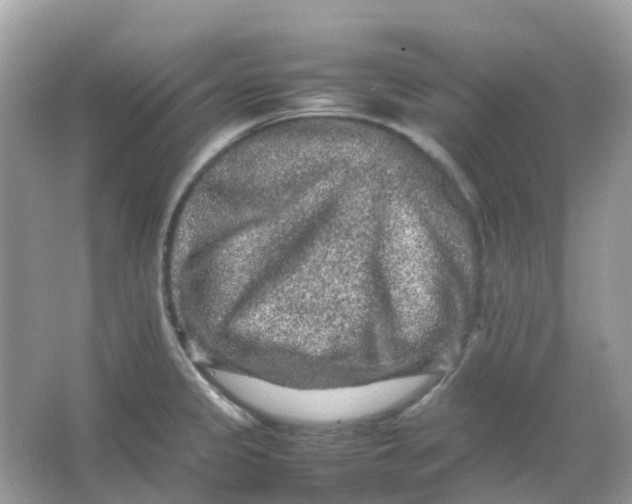 X0000065981333200603241929