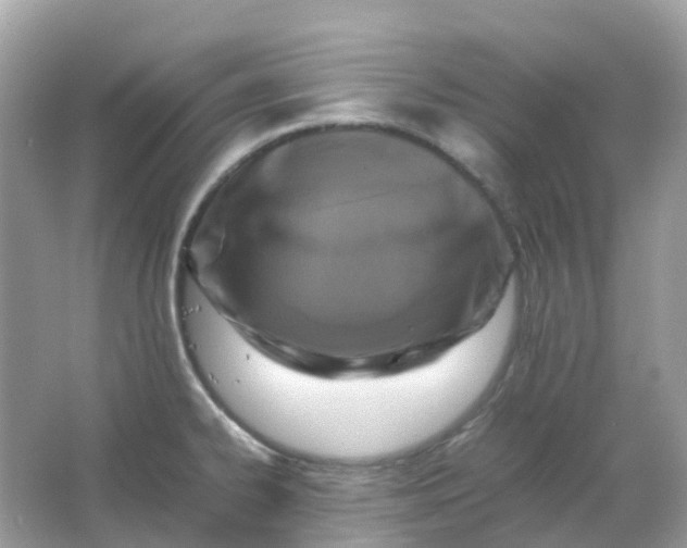 X0000065981334200603241929