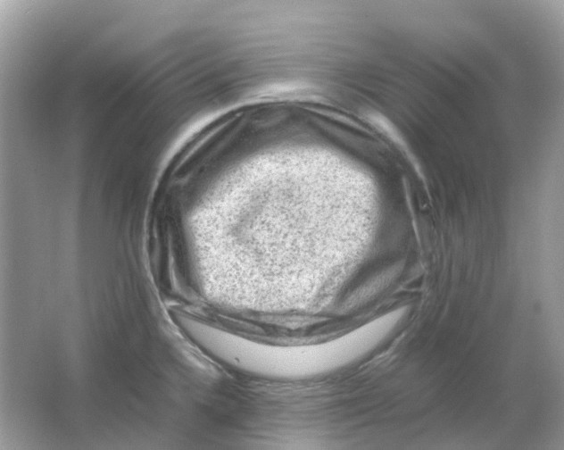 X0000065981336200603241929