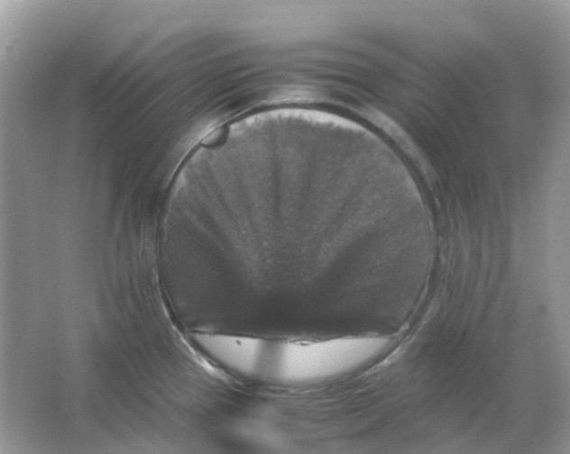 X0000065981337200603241929