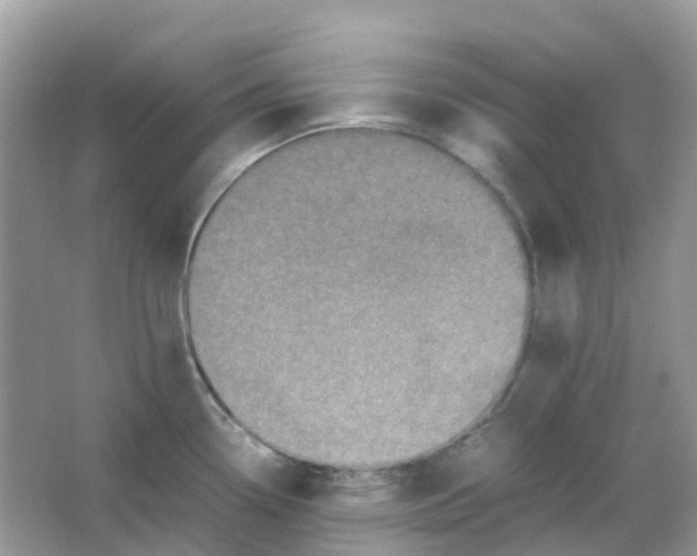 X0000065981338200603241929