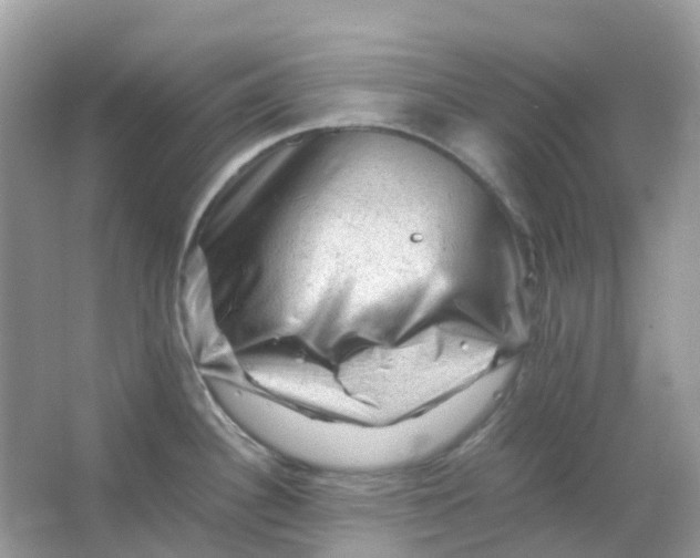 X0000065981340200603241929