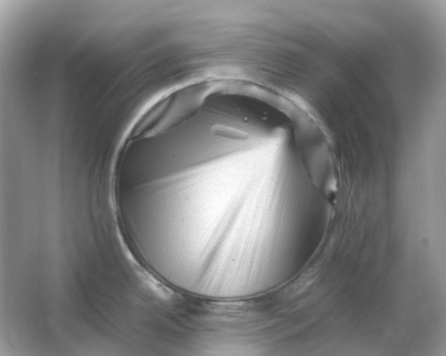 X0000065981342200603241929