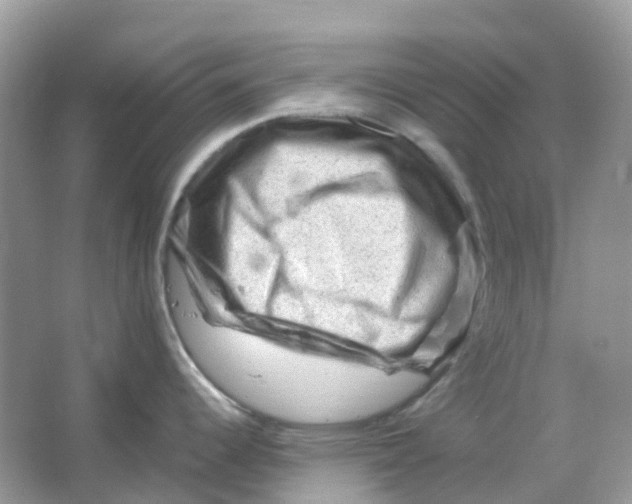 X0000065981344200603241929