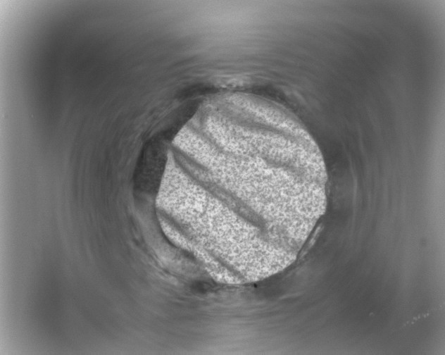 X0000065981345200603241929