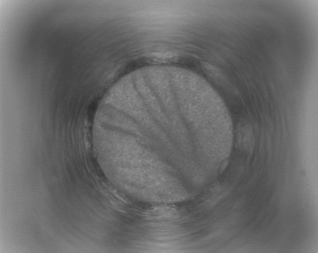 X0000065981346200603241929