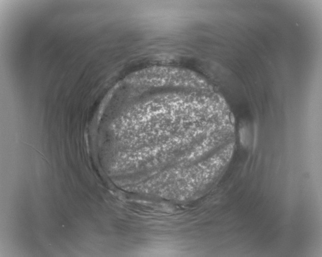 X0000065981347200603241929