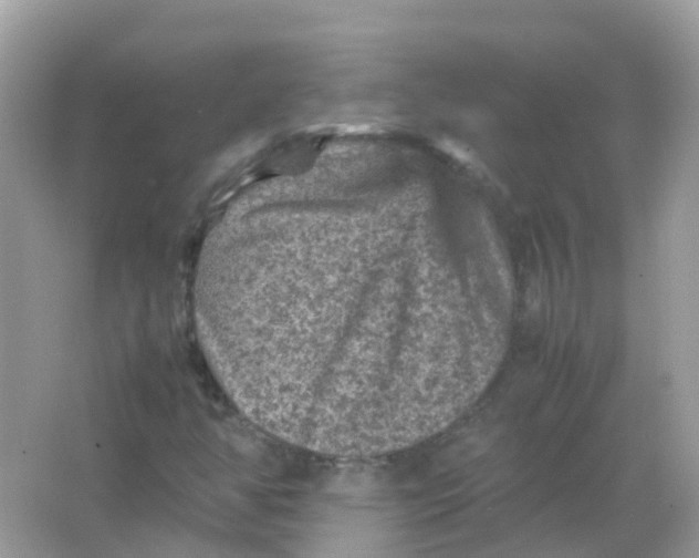 X0000065981350200603241929