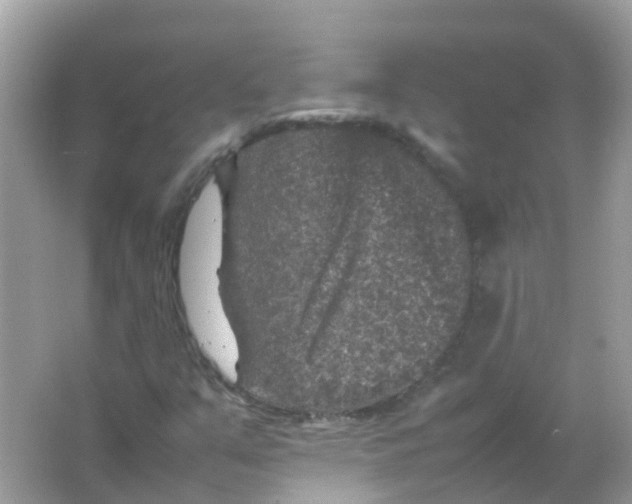 X0000065981351200603241929