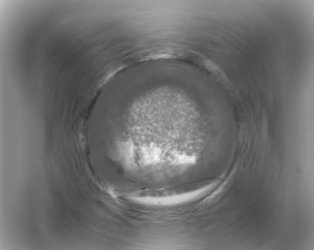 X0000065981353200603241928