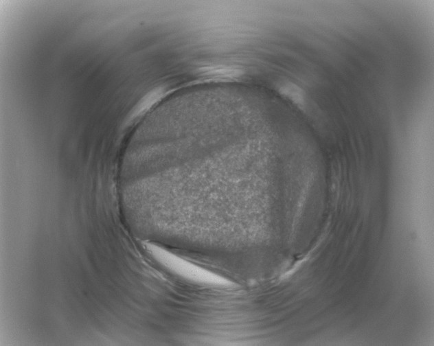 X0000065981354200603241928