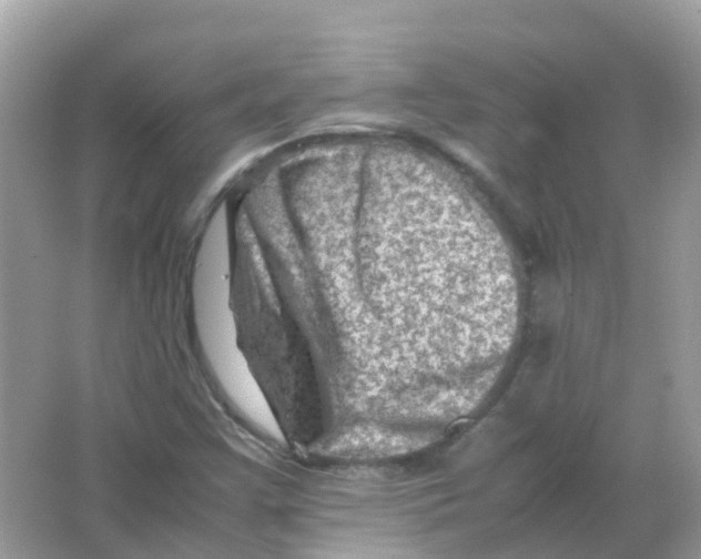 X0000065981355200603241928