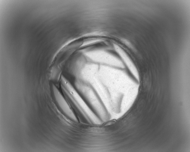 X0000065981356200603241928