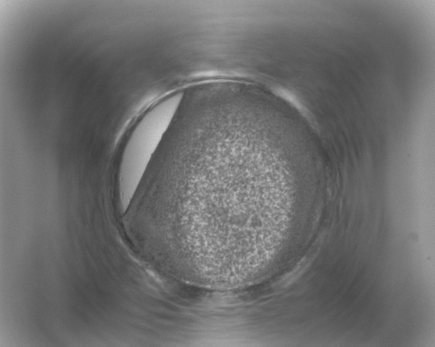 X0000065981357200603241928