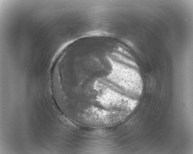 X0000065981358200603241928