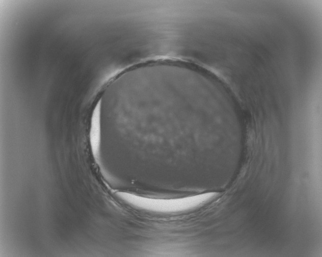 X0000065981359200603241928