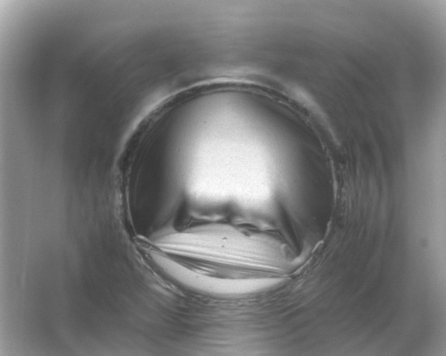 X0000065981360200603241928