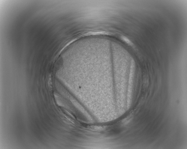 X0000065981361200603241928