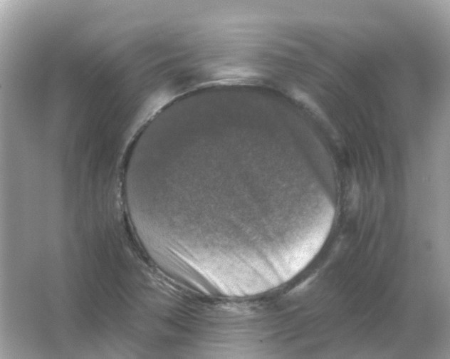 X0000065981362200603241928