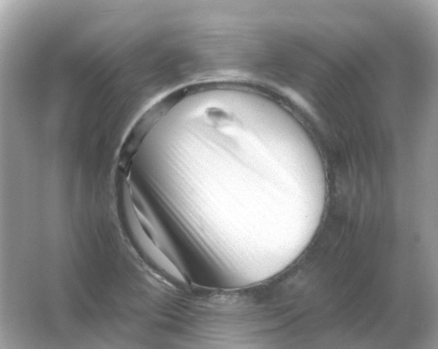 X0000065981364200603241928