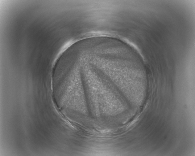 X0000065981365200603241928