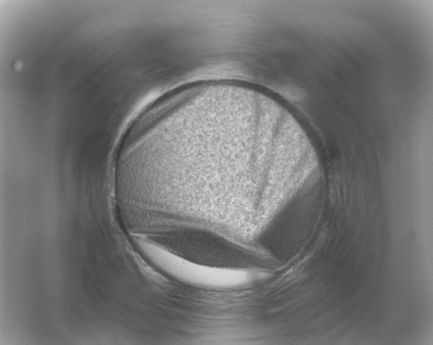 X0000065981366200603241928